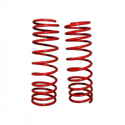 Lowering spring kit (2 pcs.) without TÜV