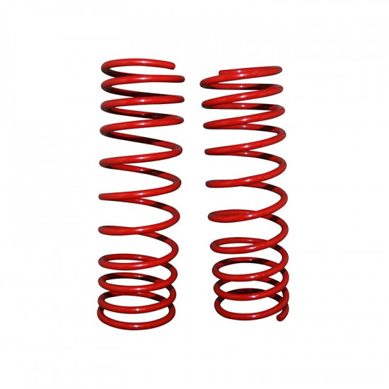 Lowering spring kit (2 pcs.) without TÜV