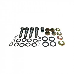 Link pin set with needle bearings