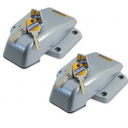 VAN Security for sliding, rear and wing doors, set of 2, grey/silver