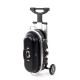 Trolley 2-flame gas grill with ignition fuse - 50 mbar