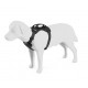 Thule Cappy – Secure dog harness for the car, size L