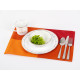 Camp4 PVC Table Set 30x45 cm - Placemats in a set of 2