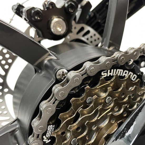 Blaupunkt foldable e-bike "HENRI"