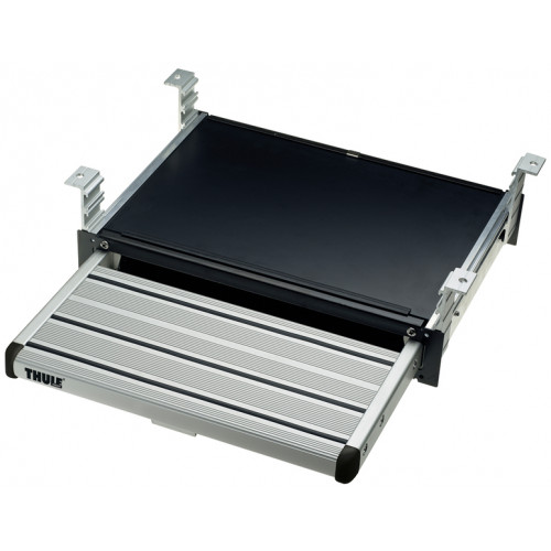 Electric step