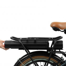 Blaupunkt foldable e-bike "FRANZI"