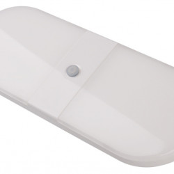 LED surface-mounted light Due