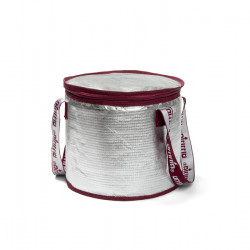 Omnia cooler bag with cooling element