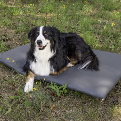 Dog mattress - rear cushion for VW T5/T6 California
