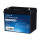 Carbest Deep Cycle AGM Power Line Battery 60Ah