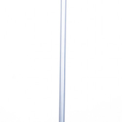 broom with dustpan