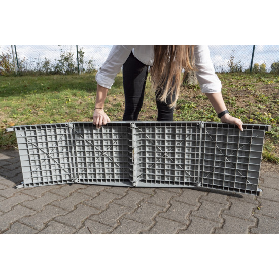 Emma plastic dog ramp