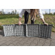Emma plastic dog ramp