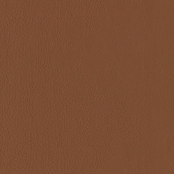 faux leather Santiago cog6m
