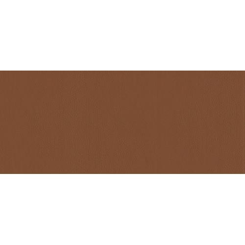 Car leather