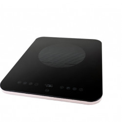 Induction cooker PTS121