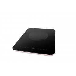 Induction cooker PTS121