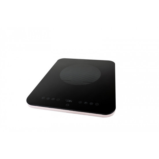 Induction cooker PTS121