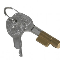 Anti-theft device plug lock DBS 8