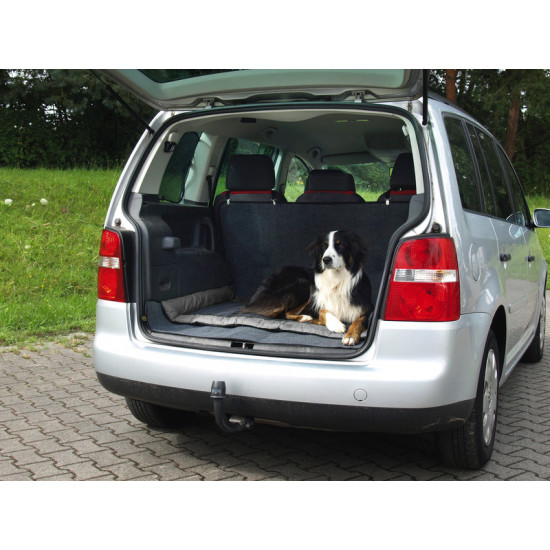 ABBY Outdoor Blanket for Dogs