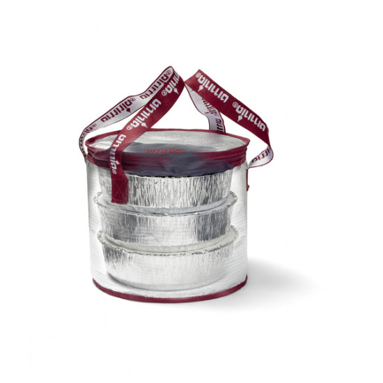 Omnia cooler bag with cooling element