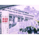 Solutions All Seal Spray Plastic Grey
