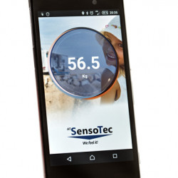 Digital support load scale STB 150 with Bluetooth - Orange