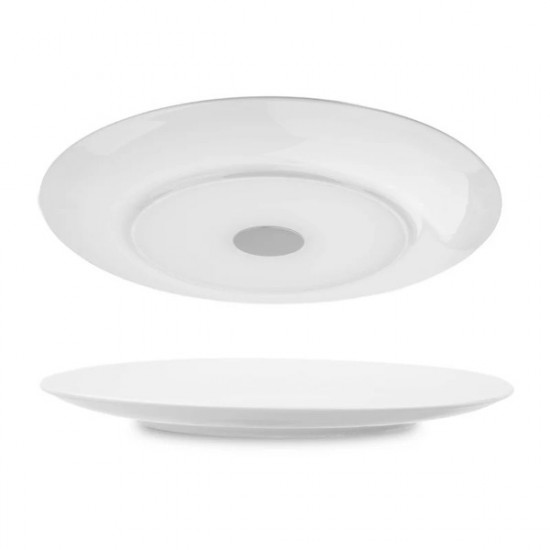 Magnetic porcelain plate