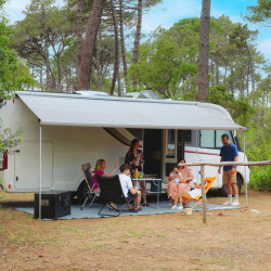 W4500 x Abstract 2500mm Cloth W4350mm Fiamma F45L Wall-mounted awning for large motorhomes, Housing colour Deep Black, Cloth colour Royal Grey