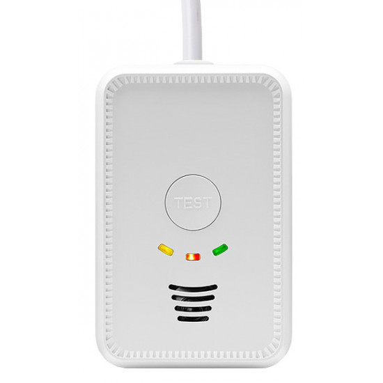 LPG/CO gas alarm 12 V - 2 in 1