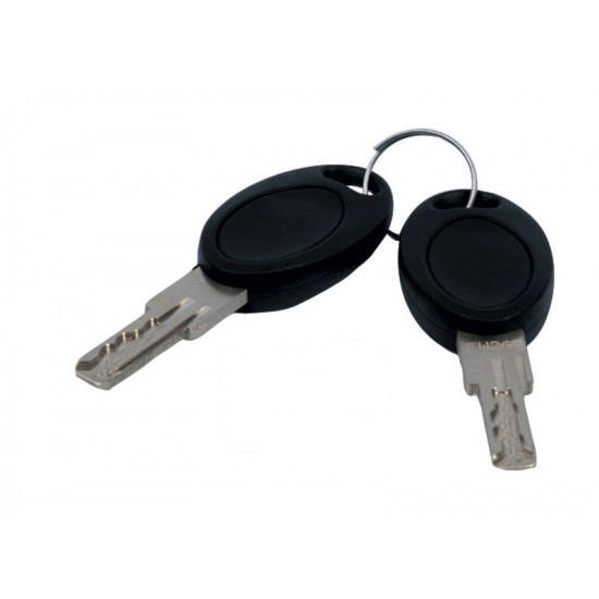 HSC system key, FW 481, 2 pieces, self-packaged