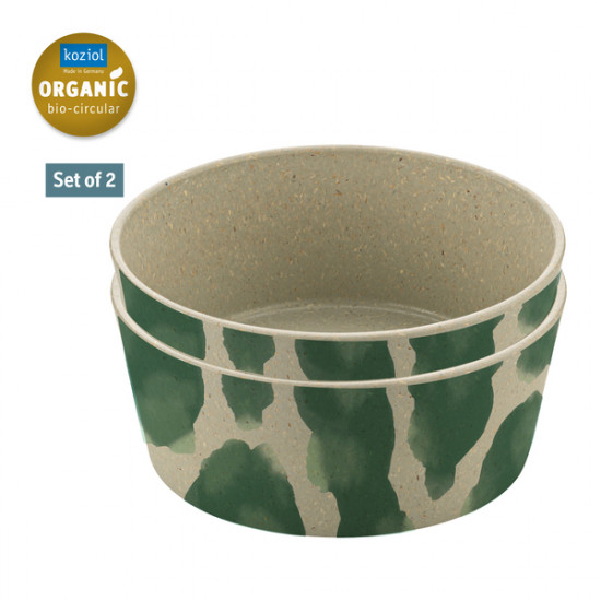 Set of 2 bowls - MONSTERA SPLASH