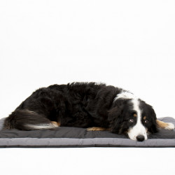 ABBY Outdoor Blanket for Dogs
