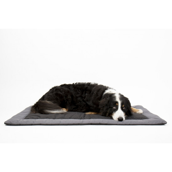 ABBY Outdoor Blanket for Dogs