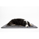 ABBY Outdoor Blanket for Dogs