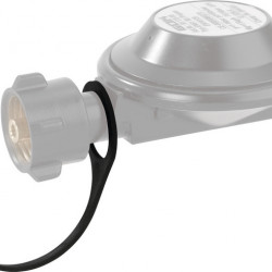 Sealing screw for pressure regulator inlet W21.8 x 1/14 LH