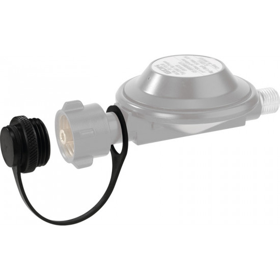 Sealing screw for pressure regulator inlet W21.8 x 1/14 LH