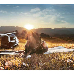 Thermal pet mat 100x50cm, light grey, non-slip