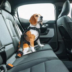 Thule Cappy – Safe dog harness for the car, size M
