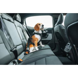 Thule Cappy – Secure dog harness for the car, size L
