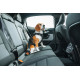 Thule Cappy – Secure dog harness for the car, size L