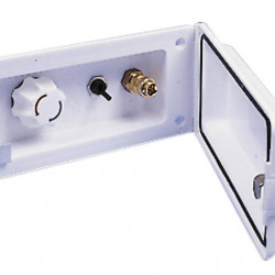 Water outlet with premixer