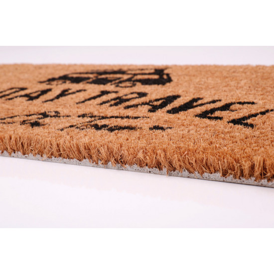 Holiday Travel doormat coconut mat 50x25cm