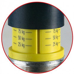 Jockey wheel with scale and nose weight indicator