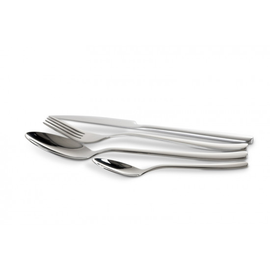 Stainless steel cutlery set for 4 people, shiny