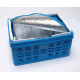 32L folding box with cooler bag, blue/white