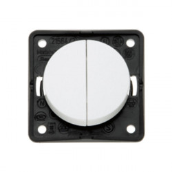 Berker Integro series switches