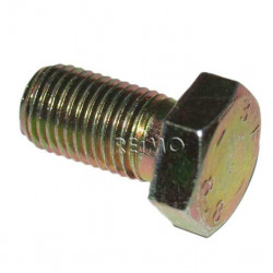 Screw for safety belt for Dreamline fairing