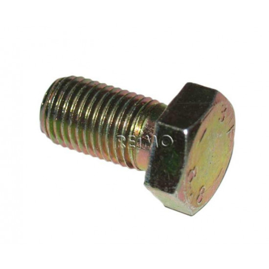 Screw for safety belt for Dreamline fairing