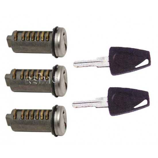 3 plug-in cylinders including 2 keys
